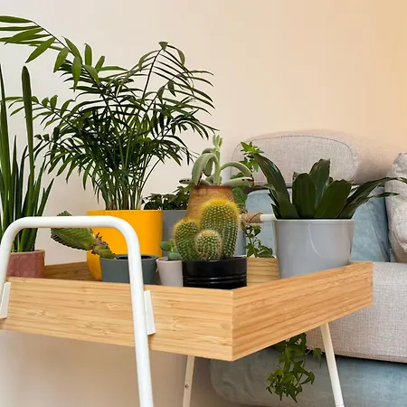 Antignano 11 Lejlighed